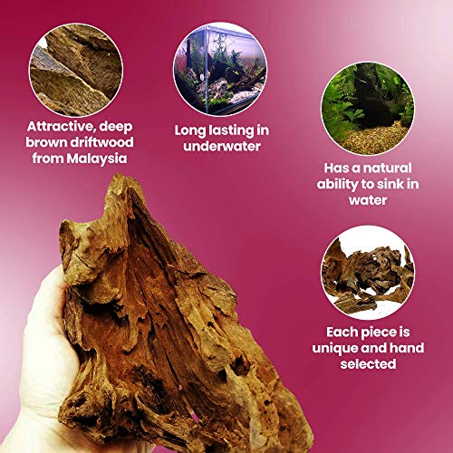 Dr. Moss Aquarium Small Malaysian Driftwood Luxurious Set for Fish Tank Decor, Real Wood Bogwood 5"-7" (2 Pieces)