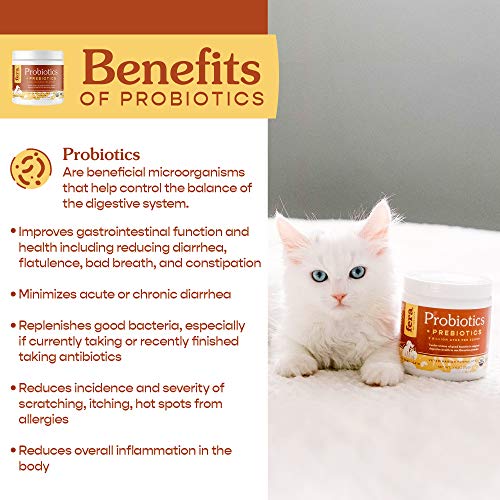 FERA Probiotics for Dogs and Cats - USDA Organic Certified - Advanced Max-Strength Vet Formulated - All Natural Probiotics Powder - Made in The USA - 5 Billion CFUs Per Scoop (Packaging May Vary)