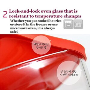 Lock&Lock Oven GLass Cooked Rice Storage Container for Freezer Set of 3