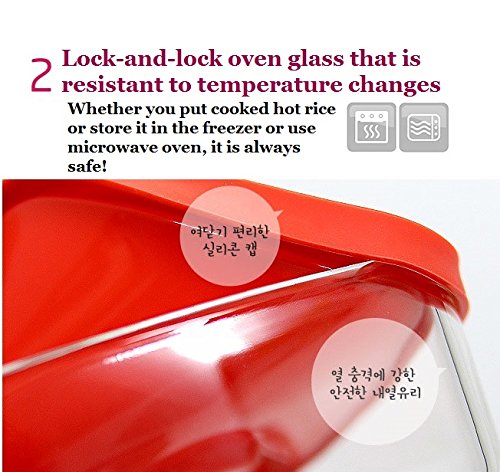 Lock&Lock Oven GLass Cooked Rice Storage Container for Freezer Set of 3