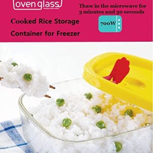 Lock&Lock Oven GLass Cooked Rice Storage Container for Freezer Set of 3