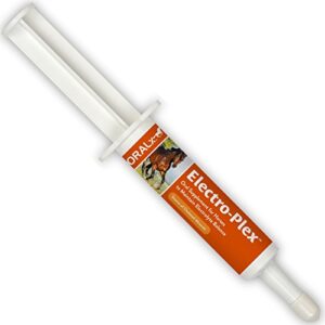 oralx electro-plex electrolyte paste for horses. feed after workouts, events or in hot weather. replenishes electrolytes & nutrients. encourages water consumption. easy-dose syringe. 1.2 oz.