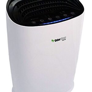 OdorStop HEPA Air Purifier with H13 HEPA Filter, Active Carbon, Multi-Speed, Sleep Mode and Timer (OSAP3600, Bright White)