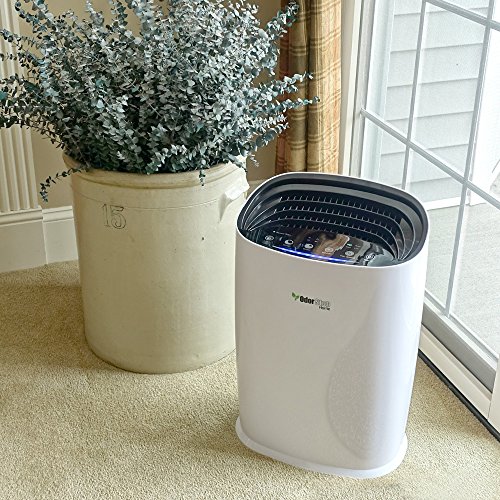 OdorStop HEPA Air Purifier with H13 HEPA Filter, Active Carbon, Multi-Speed, Sleep Mode and Timer (OSAP3600, Bright White)