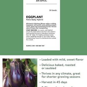Burpee Patio Baby Eggplant Seeds 30 seeds