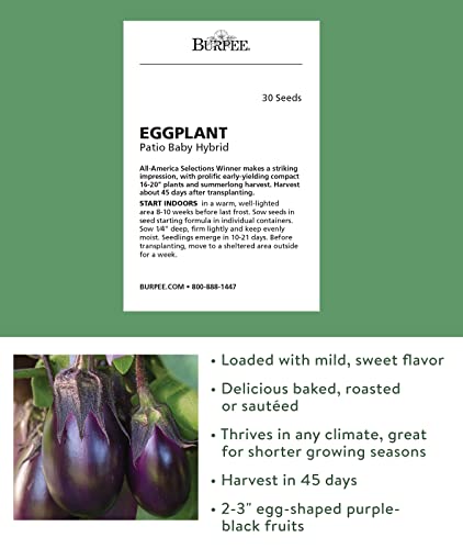 Burpee Patio Baby Eggplant Seeds 30 seeds