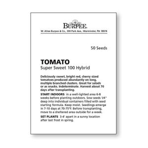 Burpee Super Sweet 100' Hybrid Cherry Tomato, 50 Seeds