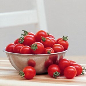 Burpee Super Sweet 100' Hybrid Cherry Tomato, 50 Seeds