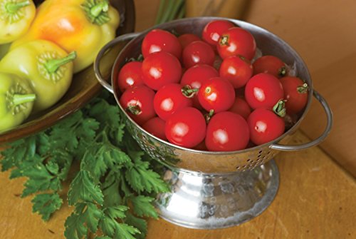 Burpee Super Sweet 100' Hybrid Cherry Tomato, 50 Seeds