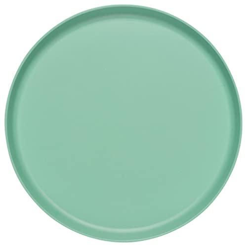 Now Designs Ecologie Dinner Plates, Set of Four, Fiesta Colors, DIA 10 x H 1 inches