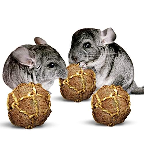 SunGrow Guinea Pig Coconut Fiber Balls, Improves Dental Health, Environment Friendly, Stress Reliever, Ideal for Chew Toy for Rabbits, Chinchilla & Kitten