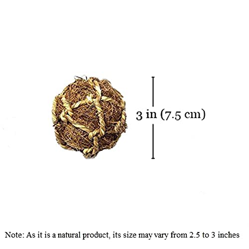 SunGrow Guinea Pig Coconut Fiber Balls, Improves Dental Health, Environment Friendly, Stress Reliever, Ideal for Chew Toy for Rabbits, Chinchilla & Kitten