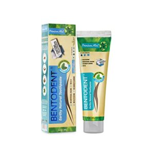 bentodent natural toothpaste for family including kids (premium mint)