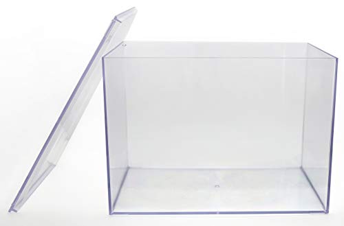 Gary Plastic Packaging Clear Rigid Plastic Box, 12 1/2" x 8 1/2" x 8 1/2"