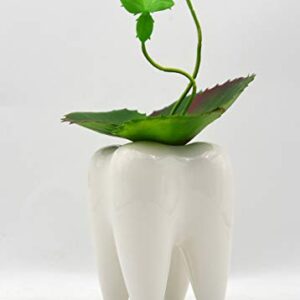 MONMOB Ceramic Tooth Shaped Pen Pencil Toothbrush Holder Pot Succulent Plant Pot Home Office School Dentists Gift (3.9")