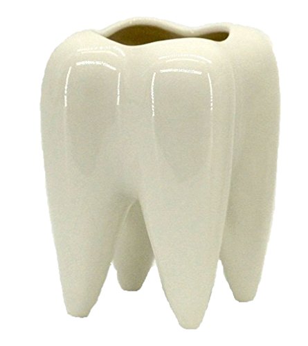 MONMOB Ceramic Tooth Shaped Pen Pencil Toothbrush Holder Pot Succulent Plant Pot Home Office School Dentists Gift (3.9")