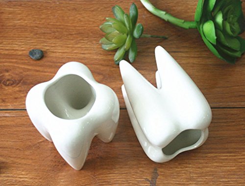 MONMOB Ceramic Tooth Shaped Pen Pencil Toothbrush Holder Pot Succulent Plant Pot Home Office School Dentists Gift (3.9")