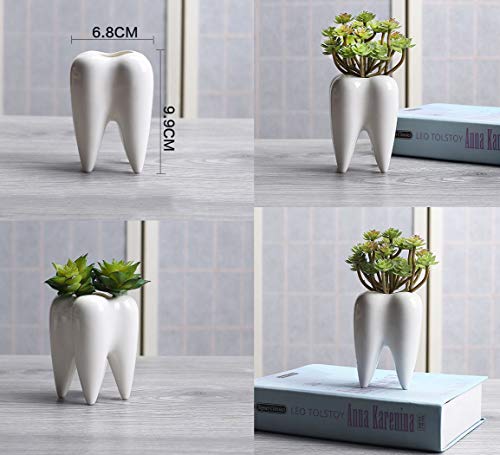 MONMOB Ceramic Tooth Shaped Pen Pencil Toothbrush Holder Pot Succulent Plant Pot Home Office School Dentists Gift (3.9")