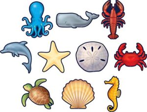 teacher created resources (8895) nautical sea life accents