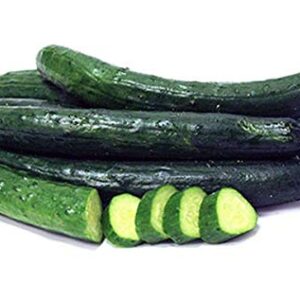 Japanese Long Burpless Cucumber Seeds - Sooyow Nishiki Green Non-GMO (25 - Seeds)