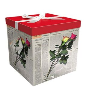 gift box 10"x10"x10" - les roses collection - easy to assemble & reusable - no glue required - ribbon, tissue paper, and gift tag included - ez gift box by endless art us