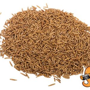 Chubby Mealworms 2lb Dried Black Soldier Fly Larvae (High in Calcium & Protein) for Wild Birds, Chickens, Sugar Gliders, Hedgehogs, Reptiles etc.