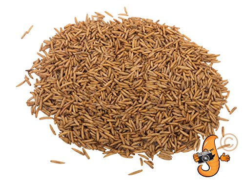 Chubby Mealworms 2lb Dried Black Soldier Fly Larvae (High in Calcium & Protein) for Wild Birds, Chickens, Sugar Gliders, Hedgehogs, Reptiles etc.