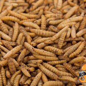 Chubby Mealworms 2lb Dried Black Soldier Fly Larvae (High in Calcium & Protein) for Wild Birds, Chickens, Sugar Gliders, Hedgehogs, Reptiles etc.