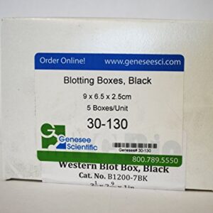 Blotting Boxes, Medium-Rectangle, Black, 9 x 6.5 x 2.5cm, 5 Boxes/Unit