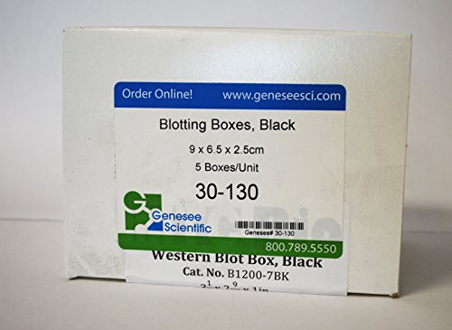 Blotting Boxes, Medium-Rectangle, Black, 9 x 6.5 x 2.5cm, 5 Boxes/Unit