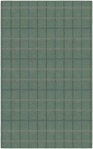 brumlow mills muted checkered plaid print home indoor non-slip area rug for living room or bedroom carpet, dining, kitchen rug or doorway mat, 3'4" x 5', green