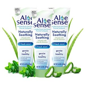 aloesense fluoride toothpaste, naturally soothing toothpaste sensitive teeth and gum care with aloe vera, allantoin & fresh mint flavor, gentle & natural toothpaste, ada approved (5-oz, 3 count)