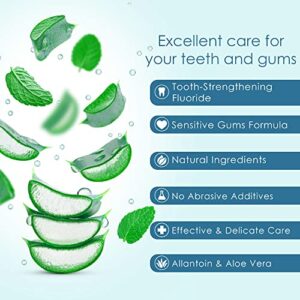 AloeSense Fluoride Toothpaste, Naturally Soothing Toothpaste Sensitive Teeth and Gum Care with Aloe Vera, Allantoin & Fresh Mint Flavor, Gentle & Natural Toothpaste, ADA Approved (5-oz, 6 Count)