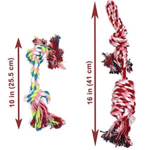 Jalousie Chew Toy Natural Rubber chew Toy for Interactive Play Toy Ball Rope Rubber Value Set for Small to Medium Breed Dog mutt Puppy