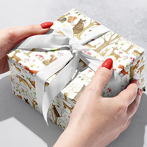 Jillson Roberts 6 Roll-Count Baby Gift Wrap Available in 5 Different Designs, Fairytale Forest