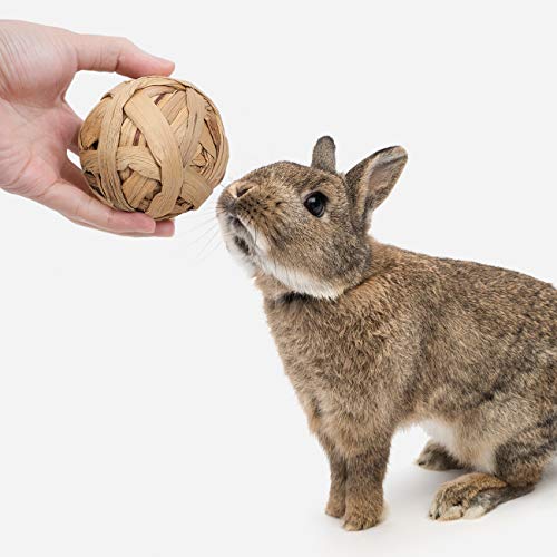 Niteangel Natural Chew Activity Toys Fun Safe Hay Grass Pet Balls for Chinchilla Guinea Pig Rats Rabbits Hamster Gerbil Degu Bunny and Other Small Animals