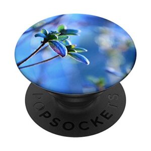 tgm plant popsockets stand for smartphones and tablets