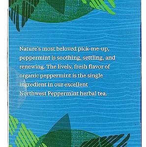 Allegro Tea, Organic Northwest Peppermint Tea Bags, 20 ct