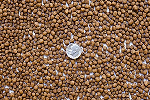 America's Best Koi Food 20 lbs Koi Fish Food with 35% Premium Protein Medium Sized Floating Pond Pellets for Koi Goldfish and Pond Fish