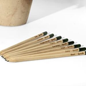 Sprout Pencils | Original Edition | Graphite Plantable Pencils with Flower, Herb & Vegetable Seeds | Certified & Organic Wood | Prime Sustainable Gift Ideal for Drawing, Sketching & Shading | 8 Pack