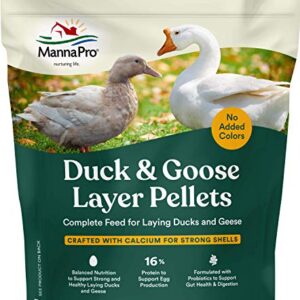 Manna Pro Duck Layer Pellet | High Protein for Increased Egg Production | Formulated with Probiotics to Support Healthy Digestion | 8 Pounds