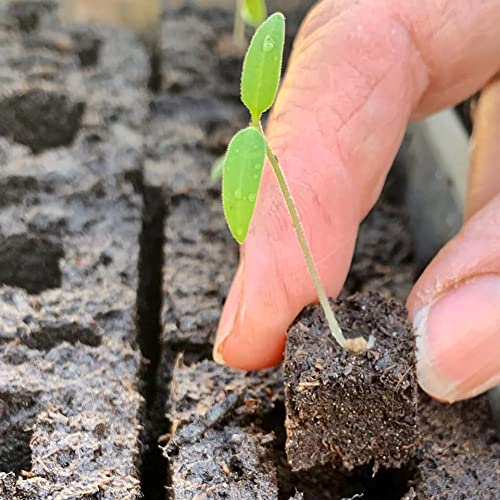 Ladbrooke Genuine Cubic Inserts, Set of 4. Snap in - for Use in The Mini 4, and Long-Handle Multi 6 and Multi 12 Soil Blockers, Made in England