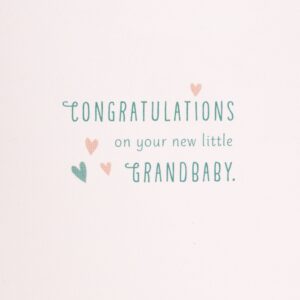Hallmark Baby Greeting Card for Grandparents (Warm and Cuddly New Grandbaby)