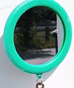 Hypeety Pet Bird Mirror with Bell Interactive Parrot Toy Bird Cage Mirror for Cockatiel Parakeets Canaries Budgie (Green)