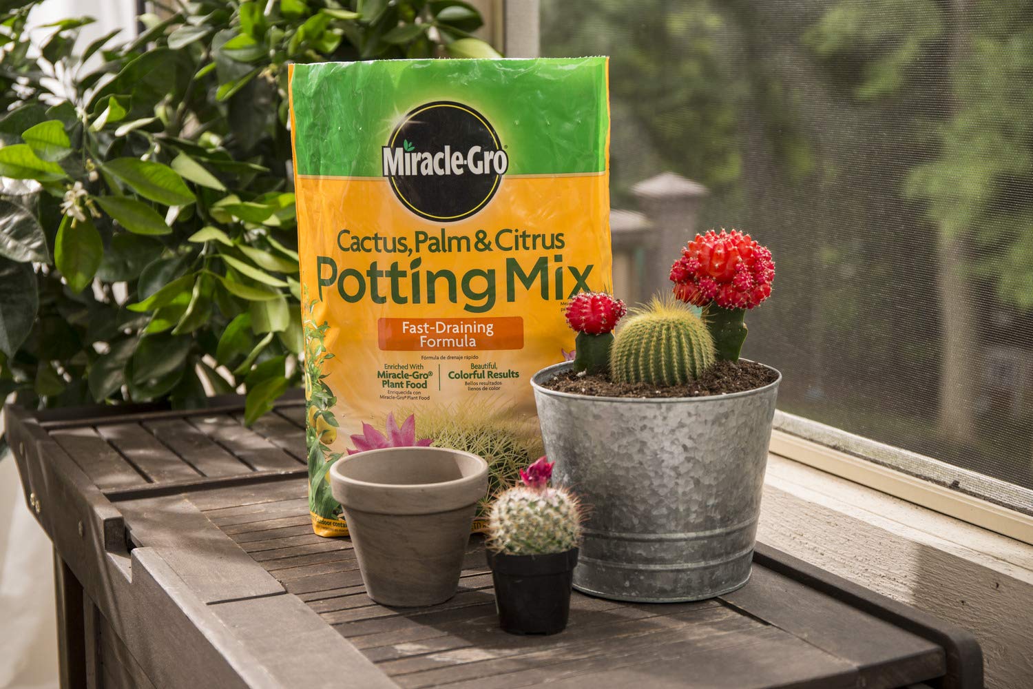 Miracle-Gro Cactus, Palm & Citrus Potting Mix 2-Pack