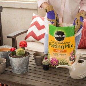 Miracle-Gro Cactus, Palm & Citrus Potting Mix 2-Pack