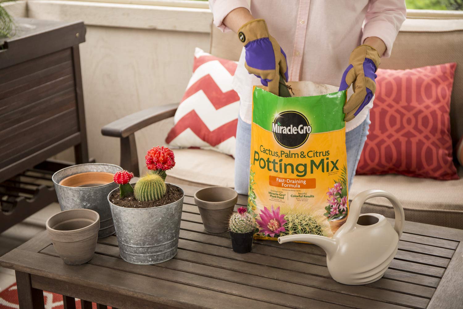 Miracle-Gro Cactus, Palm & Citrus Potting Mix 2-Pack