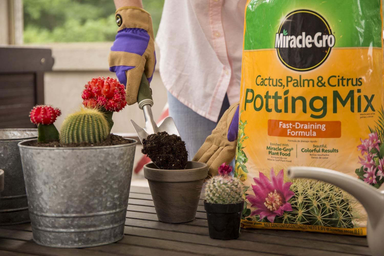 Miracle-Gro Cactus, Palm & Citrus Potting Mix 2-Pack