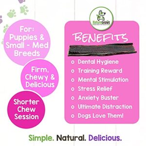 Nature Gnaws Beef Jerky Chews for Small Dogs - Premium Natural Beef Gullet Sticks - Simple Single Ingredient Tasty Dog Chew Treats - Rawhide Free - 4-5 Inch (20 Count)