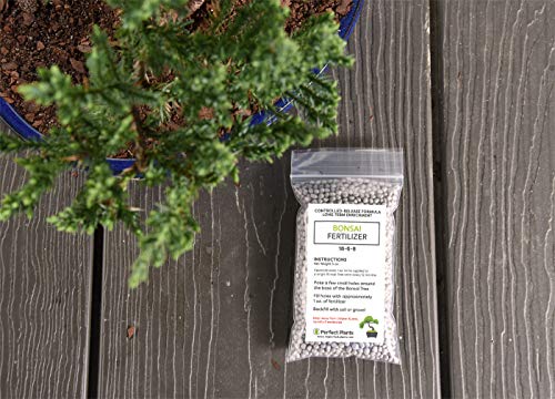 Bonsai Fertilizer Pellets by Perfect Plants - 5 Year Supply - All Natural Slow Release - Extended Enrichment for All Live Bonsai Tree Types